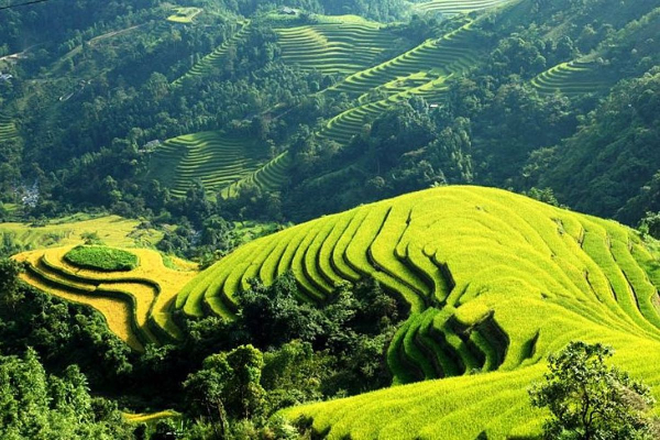 7D6N Magical Mu Cang Chai & Stunning Sapa Tour - photo 21